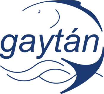 Bacalaos Gaytan